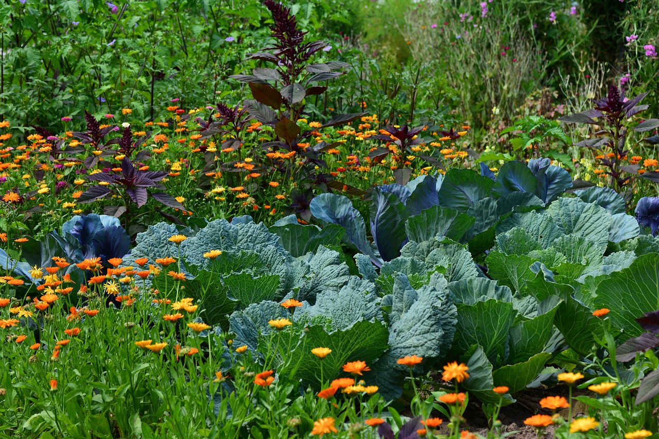 Pocket Plots: Growing Food in Micro and Urban Gardens